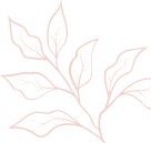 オファーシェイプ