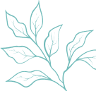 オファーシェイプ